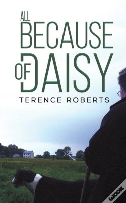 Capa do artigo All Because Of Daisy