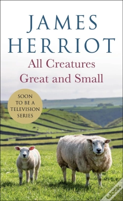Capa do artigo All Creatures Great And Small