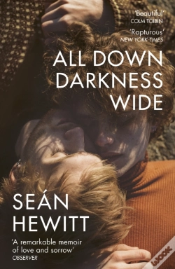 Capa do artigo All Down Darkness Wide