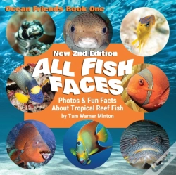 Capa do artigo All Fish Faces