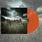 All Hope Is Gone - Vinil - Preview