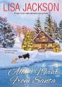 All I Want From Santa - Preview