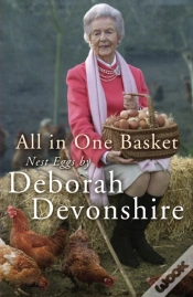 Capa do artigo All In One Basket