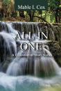 All In One - Preview