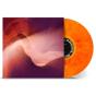 All Is Beautiful ...because We Are Doomed - Vinil - Preview