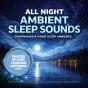 All Night Ambient Sleep Sounds | Continuous 8-Hour Sleep Ambience For Deep Sleep & Relaxation - Preview