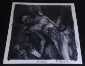 Capa do artigo All Reflections Drained - Vinil