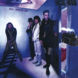 Capa do artigo All Shook Up - CD