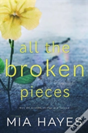 Capa do artigo All The Broken Pieces