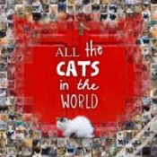 Capa do artigo All The Cats In The World