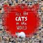 All The Cats In The World - Preview