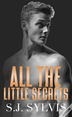 Capa do artigo All The Little Secrets
