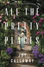 All The Pretty Places - Preview