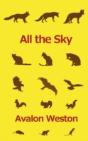 All The Sky - Preview
