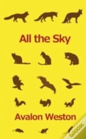 Capa do artigo All The Sky
