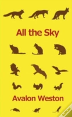 Capa do artigo All The Sky