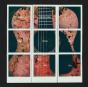 All the Truth That I Can Tell - Vinil - Preview