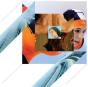 All the Way - CD - Preview