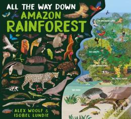 All The Way Down: Amazon Rainforest