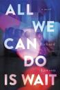 All We Can Do Is Wait - Preview