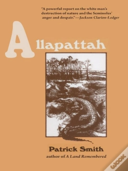 Capa do artigo Allapattah