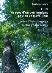 Capa do artigo Allier Visage D