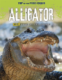 Alligator - Preview