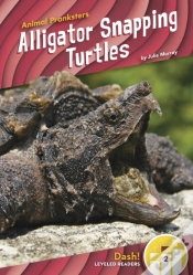 Capa do artigo Alligator Snapping Turtles