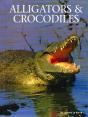 Alligators Crocodiles - Preview