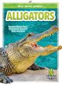 Alligators - Preview