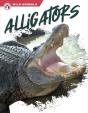 Alligators - Preview