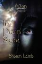 Allon Book 9 - In Plain Sight - Preview