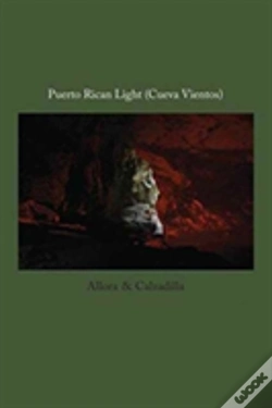 Capa do artigo Allora & Calzadilla - Puerto Rican Light