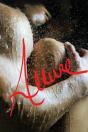 Allure - Preview