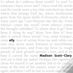Capa do artigo Ally