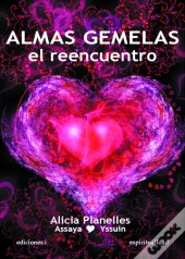Almas Gemelas, El Reencuentro