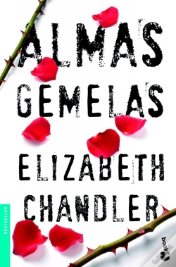 Capa do artigo Almas Gemelas