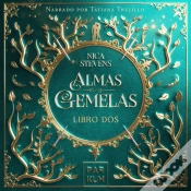 Capa do artigo Almas Gemelas