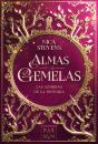 Almas Gemelas - Preview