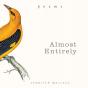 Almost Entirely - Preview