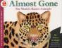 Almost Gone - Preview