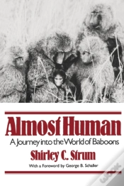 Capa do artigo Almost Human