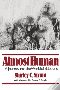 Capa do artigo Almost Human