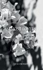 Almost Lovers - Preview