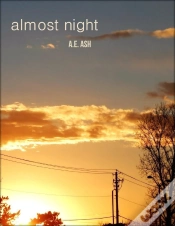 Capa do artigo Almost Night