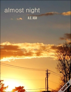Capa do artigo Almost Night