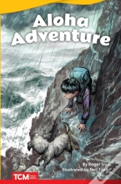 Capa do artigo Aloha Adventure