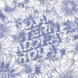 Capa do artigo Aloha Hola - CD