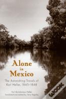 Alone In Mexico