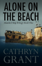 Alone On The Beach - Preview